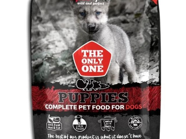  Alpha spirit the only one puppies 3kg
