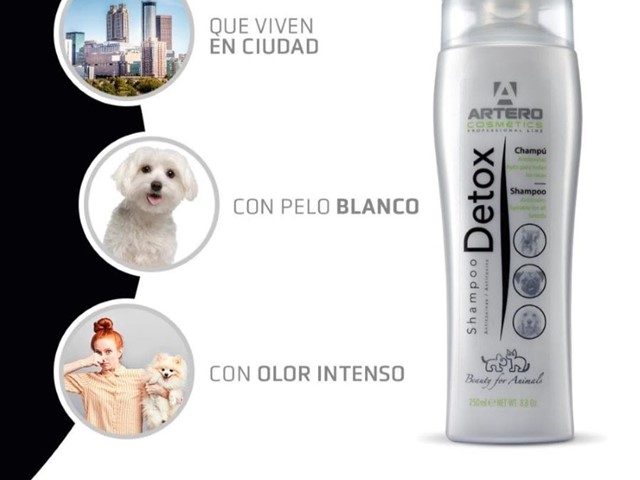 Artero Champú detox 250ml
