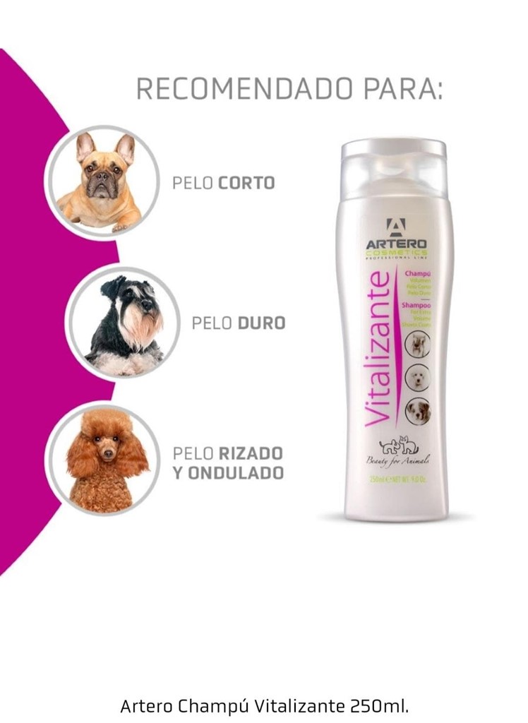 Foto 1 Artero Champú vitalizante 250ml