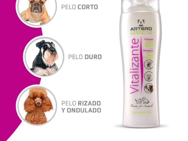 Artero Champú vitalizante 250ml