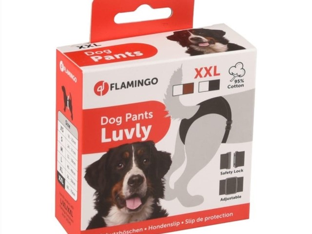 Bragas para perra XXL