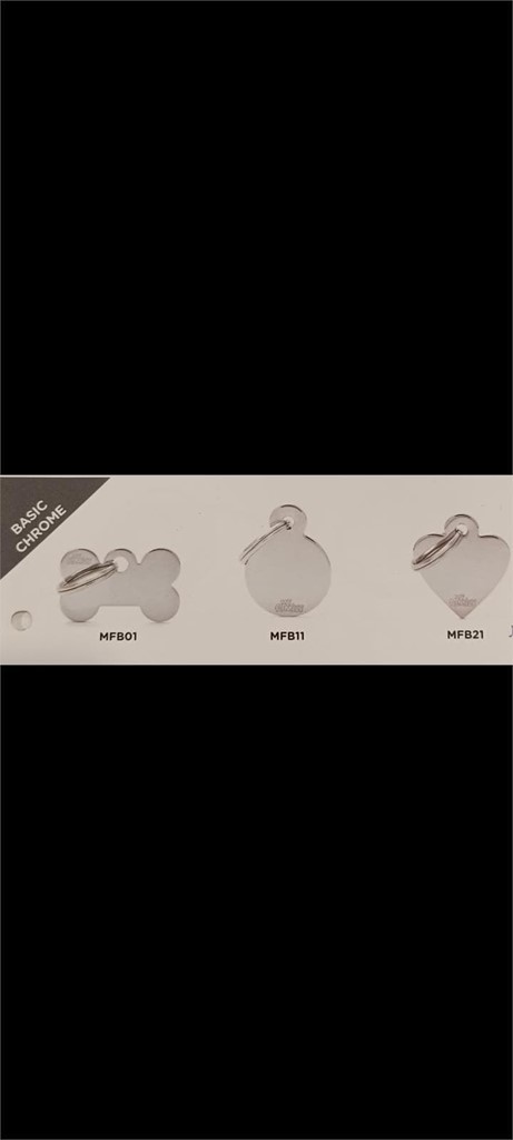 Foto 1 CHAPA PERSONALIZADA BÁSICA PLATA TAMAÑO PEQUEÑO 