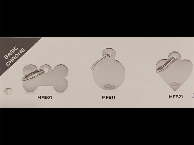 CHAPA PERSONALIZADA BÁSICA PLATA TAMAÑO PEQUEÑO 