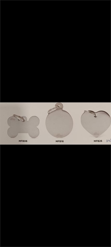 Foto 1 CHAPA PERSONALIZADA PLATA TAMAÑO GRANDE 