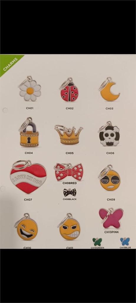 Foto 4 CHAPA PERSONALIZADA RAZAS,GATOS Y MÁS 