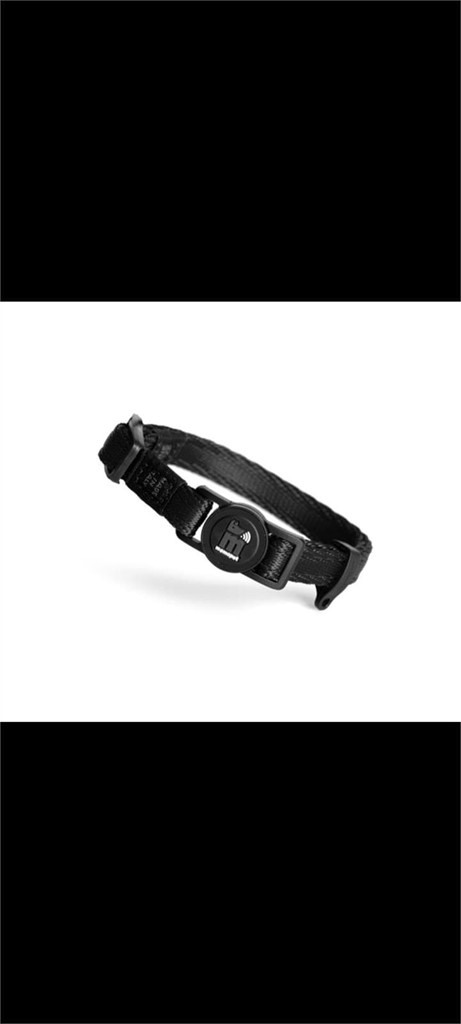 Foto 1 Collar de nylon para chapa talla S 26-37 cm +colores