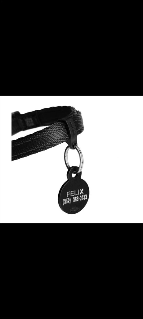 Foto 2 Collar de nylon para chapa talla S 26-37 cm +colores