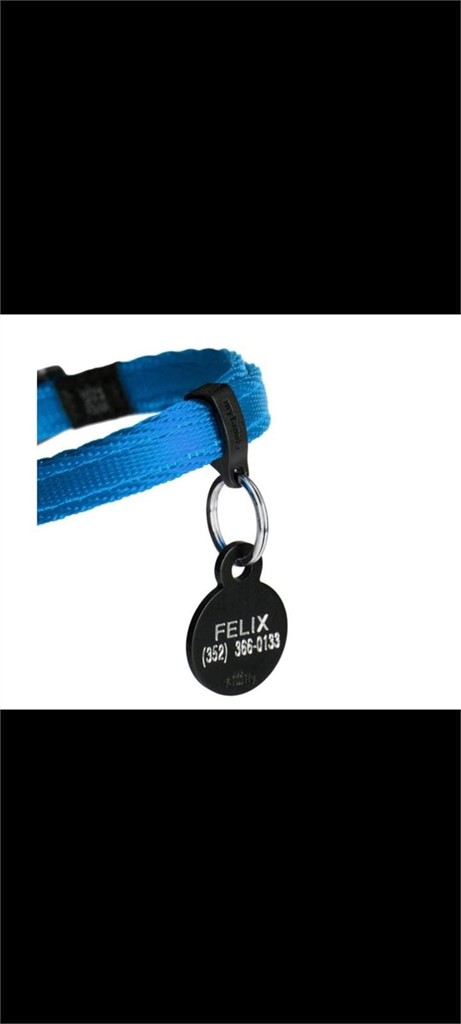 Foto 4 Collar de nylon para chapa talla S 26-37 cm +colores