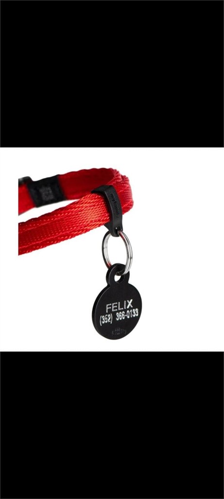 Foto 5 Collar de nylon para chapa talla S 26-37 cm +colores