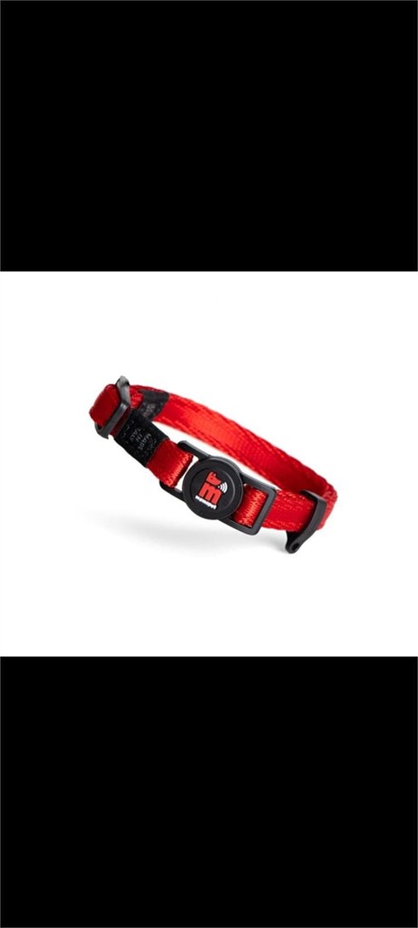 Foto 2 Collar de nylon para chapa talla XS 20-27cm +colores