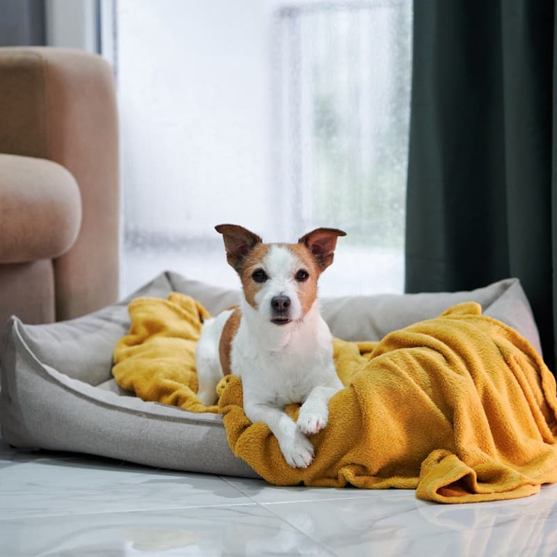 Lavandería autoservicio en Ourense