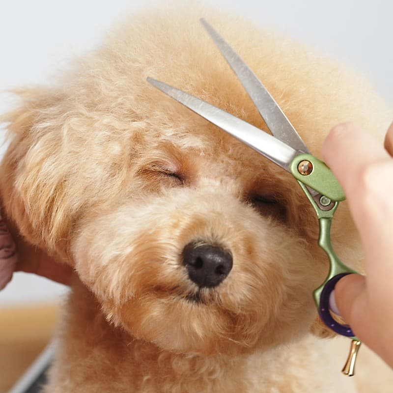 Lavandería autoservicio en Ourense