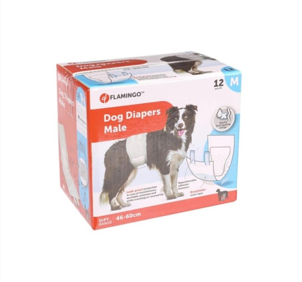 Foto 1 Pañales para perro macho M 12 unidades 