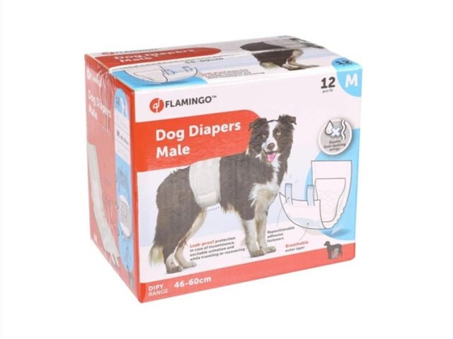 Pañales para perro macho M 12 unidades 